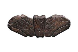 winged object E4120-17